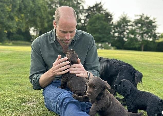В день рождения принца Уильяма 21 июня принцесса Уэльская поделилась его фото с щенками. Оказалось, что их родила их собака Орла - подарок брата Кейт Миддлтон