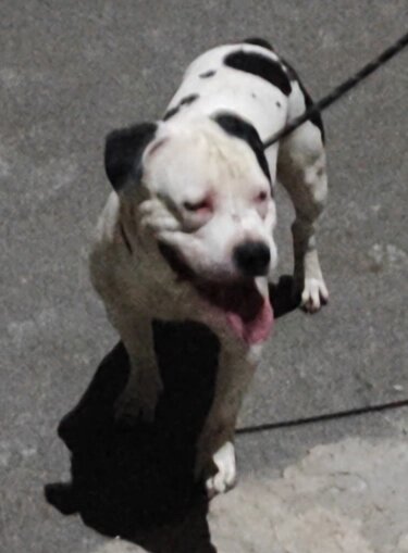    Фото: вк-сообщество «ВЧурилово»