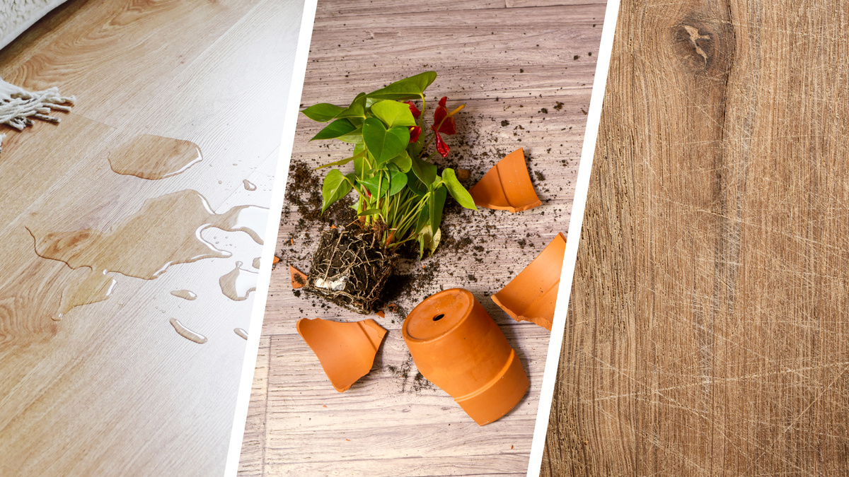 Братья наши меньшие могут изрядно пошалить - и напольное покрытие должно всё это выдерживать