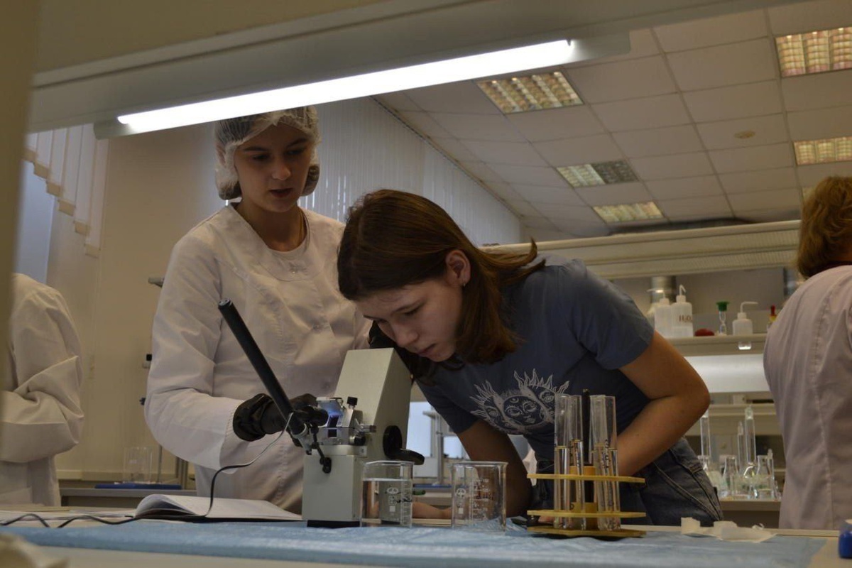    Липецкие школы перейдут на единые учебники с 2026 года Министерство образования Липецкой области