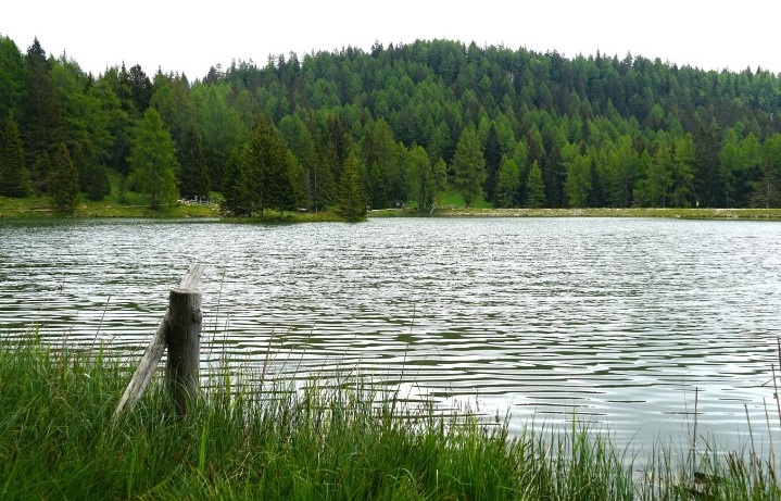    Фото: freepik.com/free-photo Александра Горохова