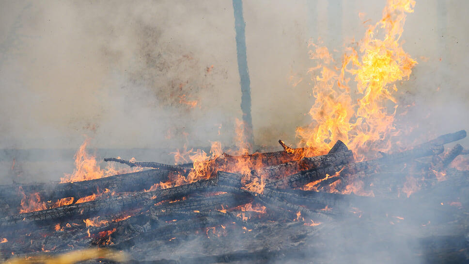 Фото: Олег Харсеев / Коммерсантъ