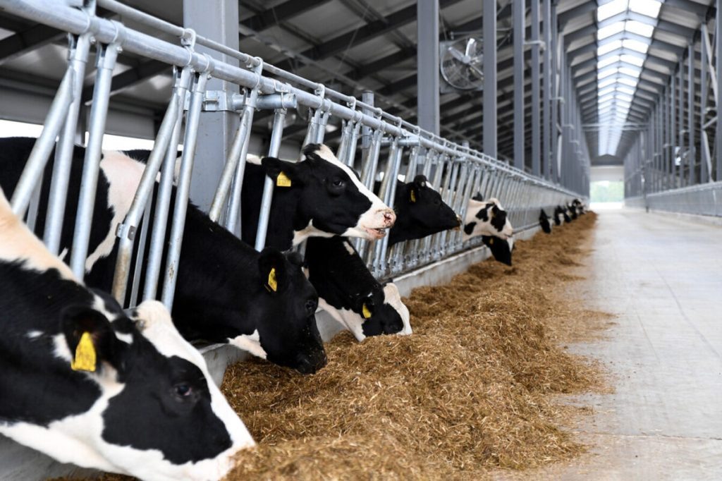 фото: пресс-служба правительства Тверской области