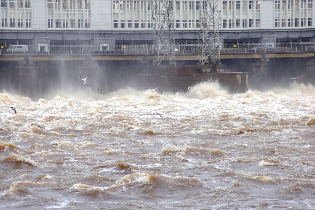     / Источник: © Elena Mayorova/Global Look Press