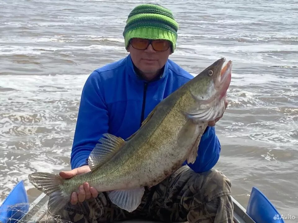    Рыбалка в Алтайском крае. Источник: avito.ru