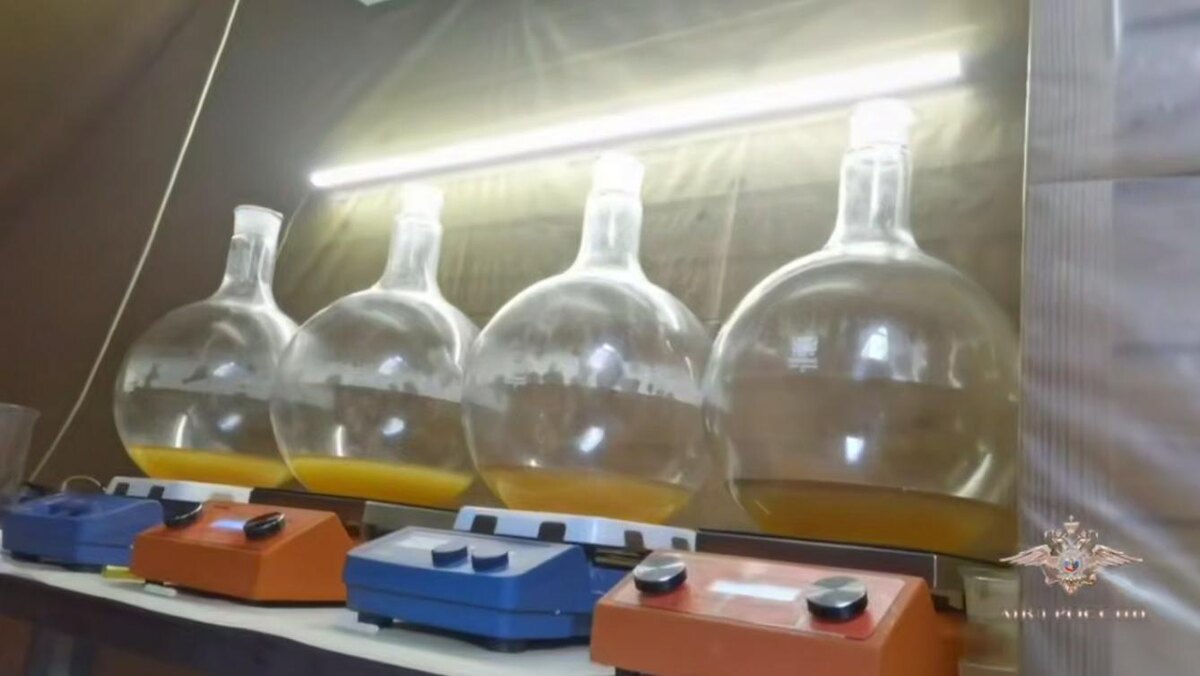    Фото: МВД России