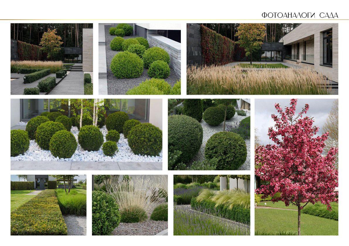 Фотоаналоги