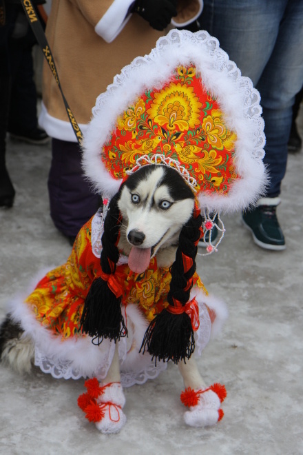 Красавица Лада.