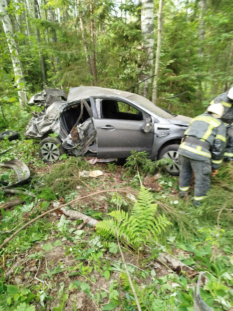    Фото: Госкомитет Карелии по безопасности / Telegram