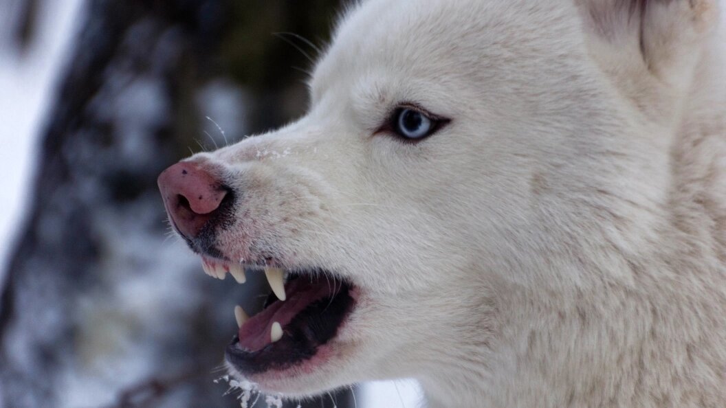    Фото: Комсомольская Правда/Globallookpress.