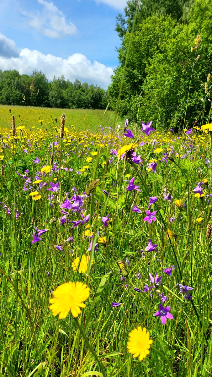 #ярко #солнечно #настороение