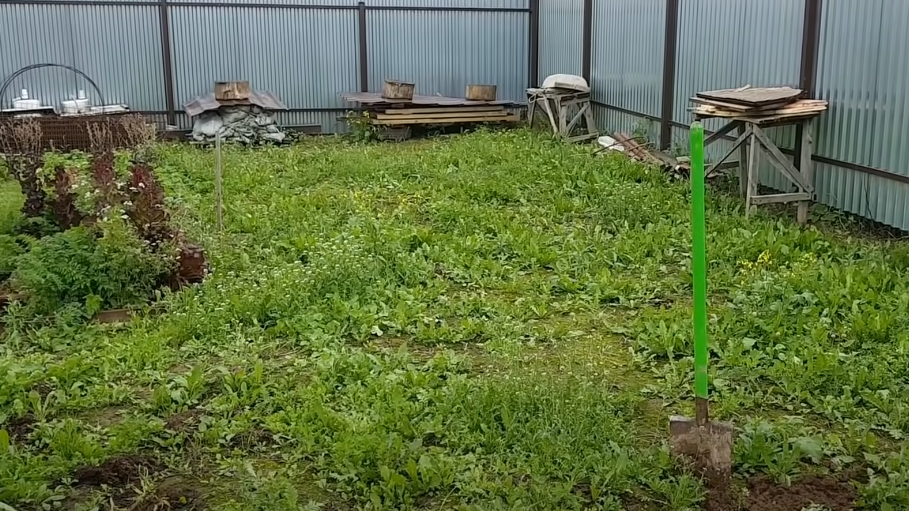 Вот так выглядел мой участок после месяца без ухода