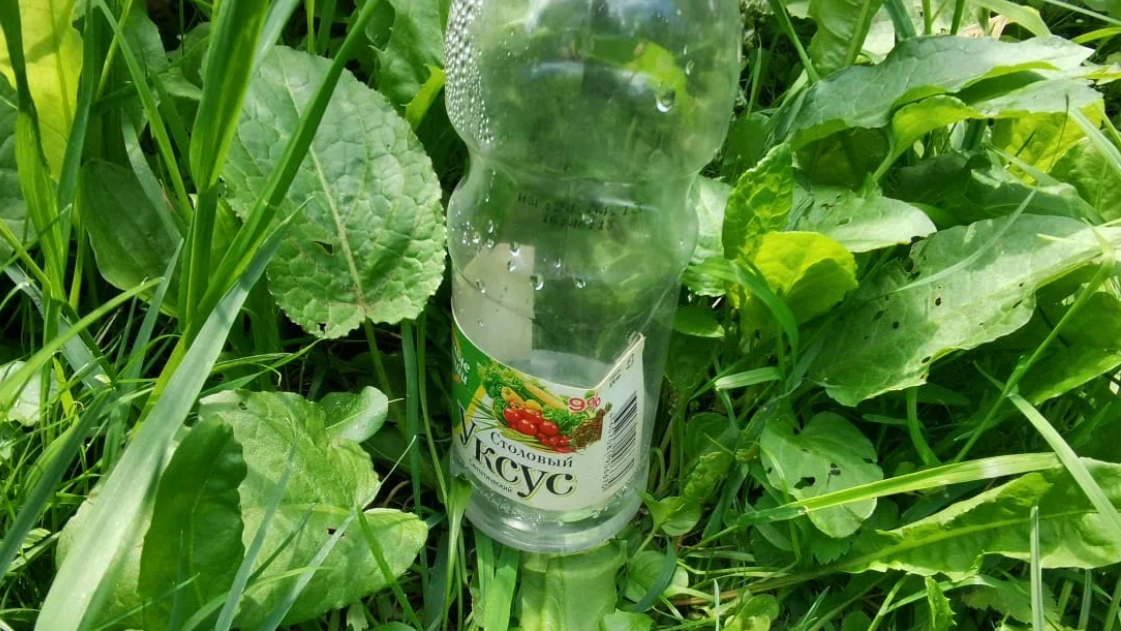 Развел литр 9% уксуса пополам с водой и обработал заросли сныти за сараем