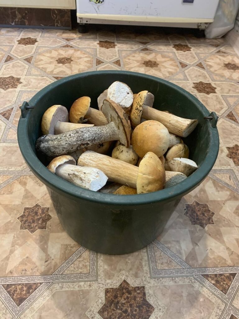    Фото: управление по охране животного мира Приамурья