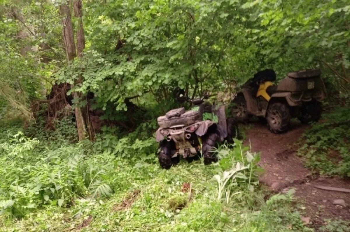    В Виштынецком нацпарке ищут людей, катавшихся на квадроциклах