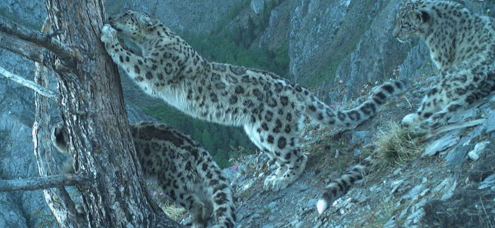    Фото: Минприроды