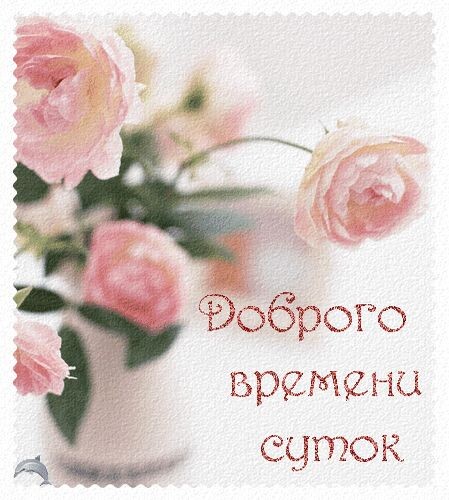 Из интернета для хорошего настроения 💖💐