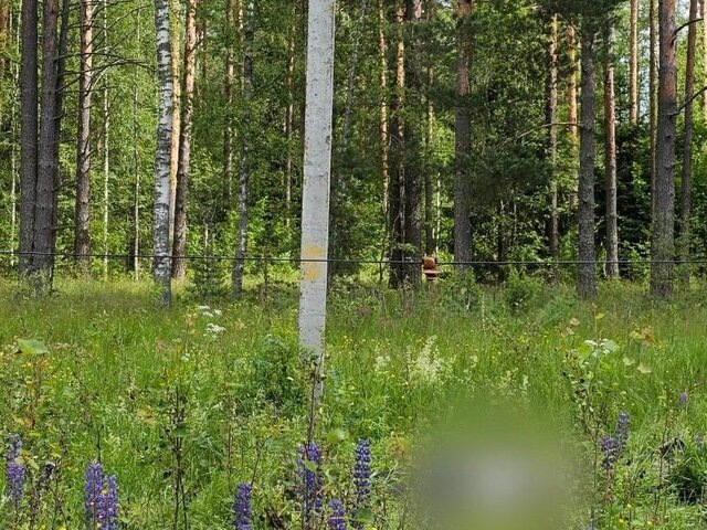    Фото: телеграм-канал "СУ СК России по Владимирской области"