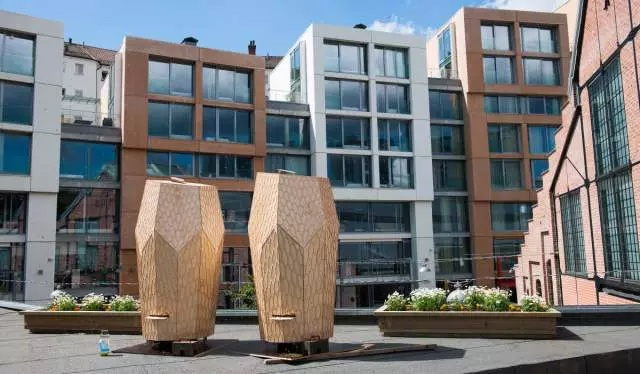 Это специальные пчелиные ульи, а рядом нектароносы.