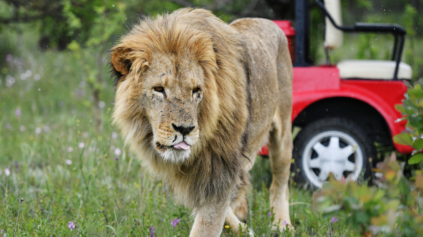    Фото: © РИА Новости/Константин Михальчевский; 5-tv.ru