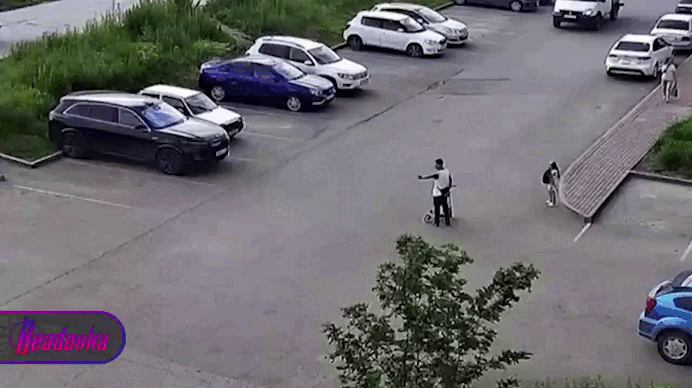    Видео: tg-канал Readovka