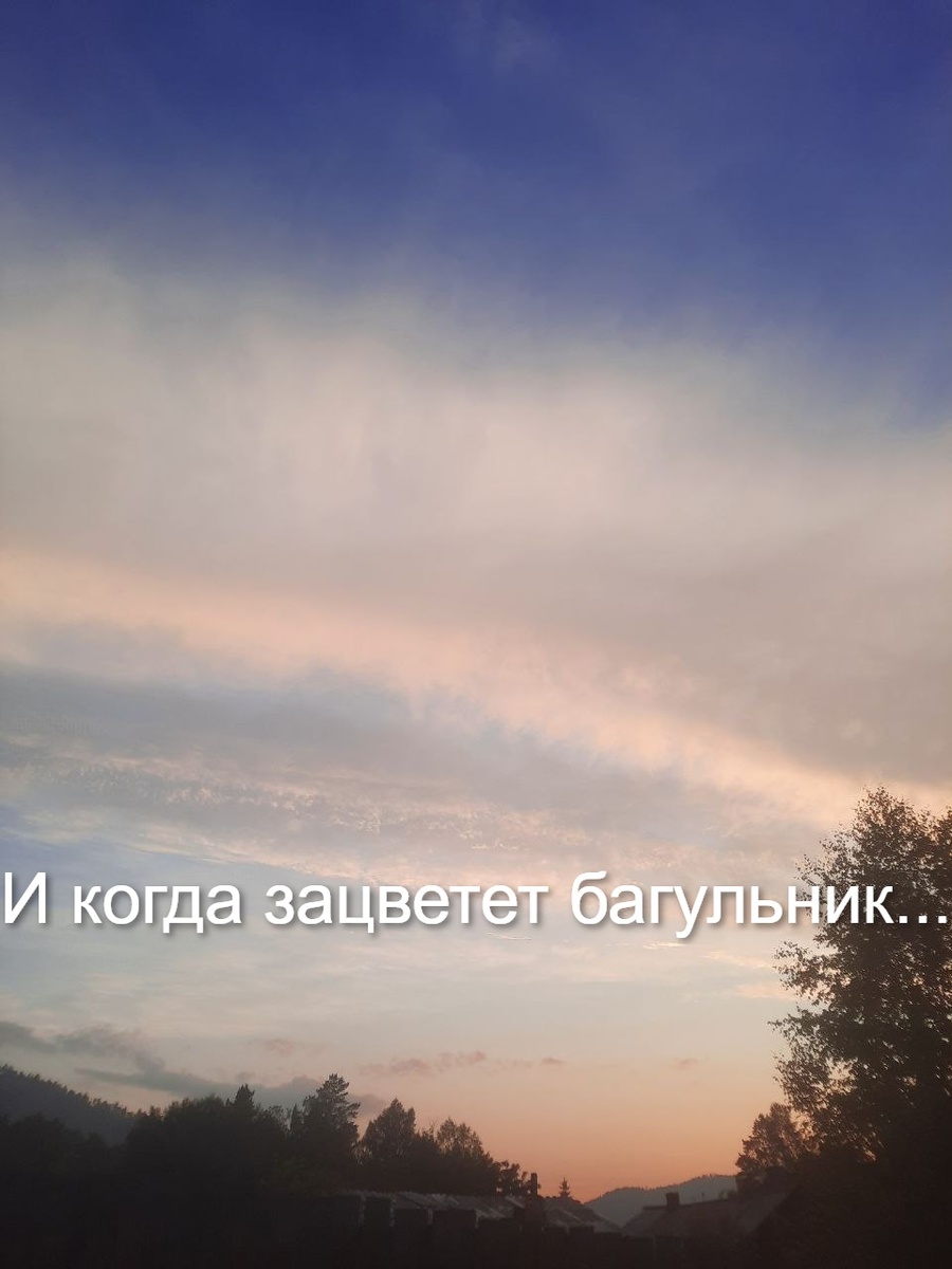 Фото автора.