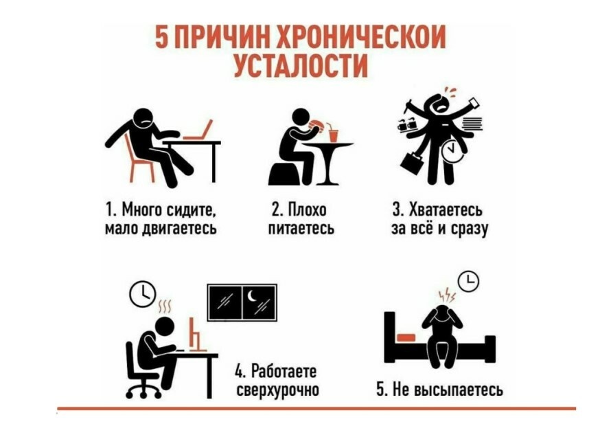 Фото взято Яндекс