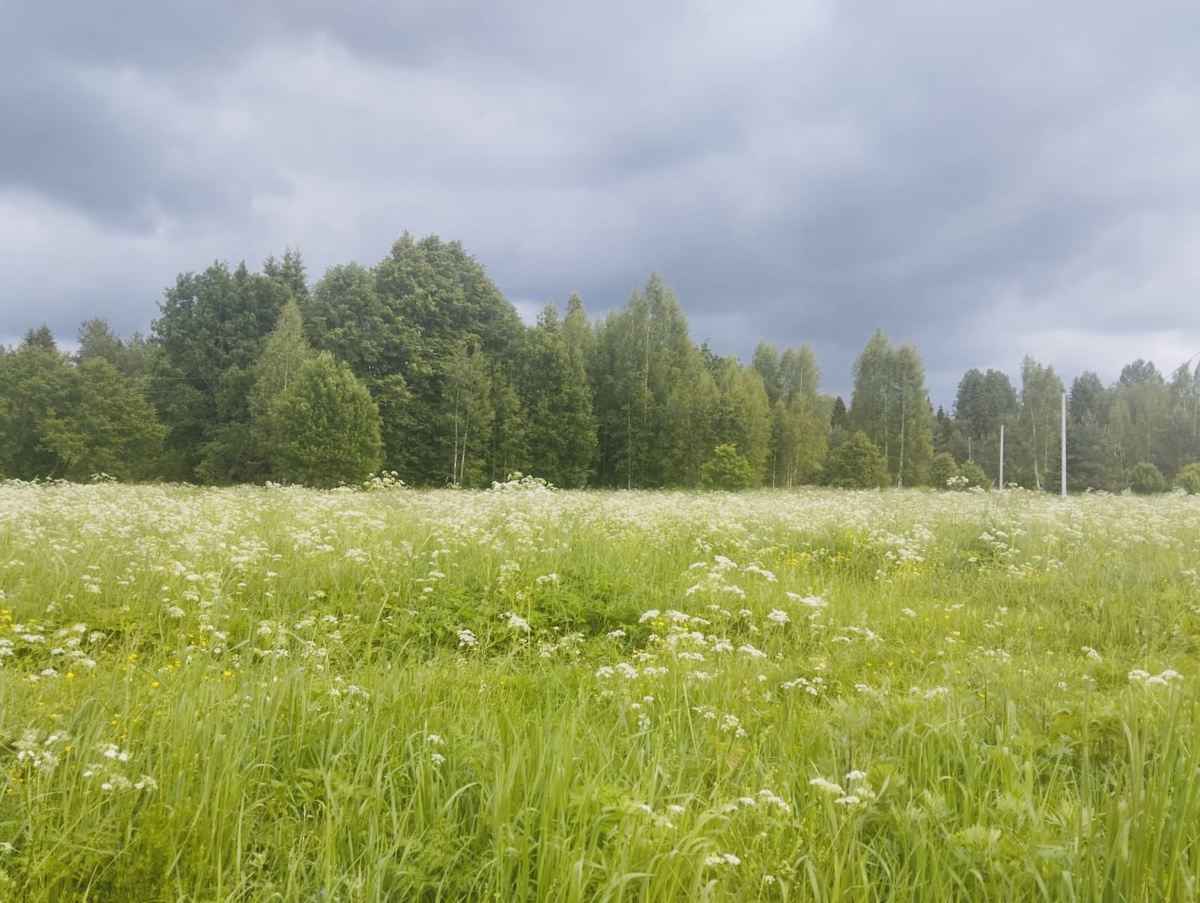 Где-то в окрестностях 