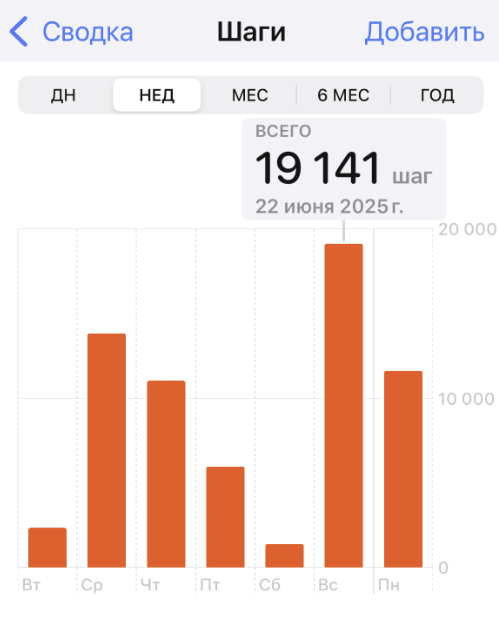 Это только " лесной"путь. В доме, огороде и на работе шаги телефон не засчитывает, потому как отдельно от меня "живет", лежит где-то поблизости. Вторник и суббота - выходные от леса, день с 5 тыс шагов это значит "заехала после работы проверить местечко".