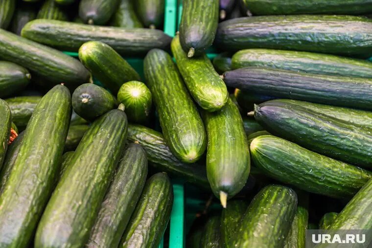 Продукция прошла проверку. Фото: Размик Закарян © URA.RU