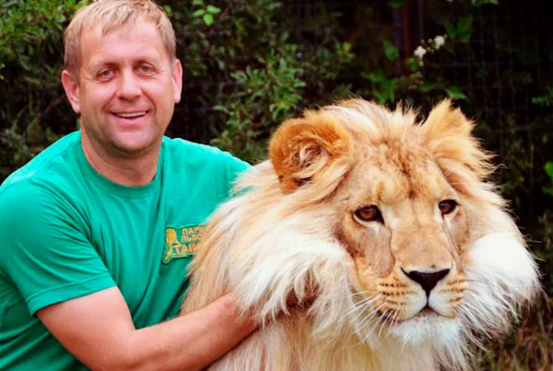 Фото Олега Зубкова со львом: Телеграм-канал «Mash на волне»