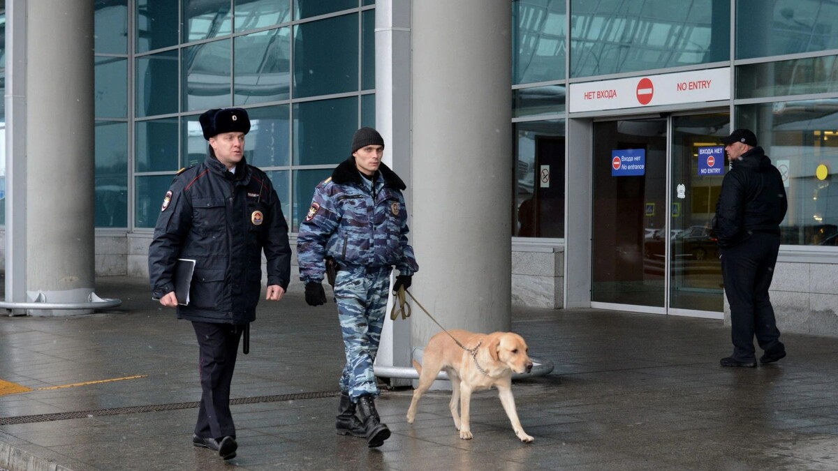    Фото: Free Wind 2014/Shutterstock/Fotodom