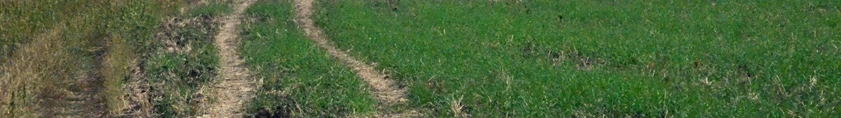    Фото: Сергей Егоров