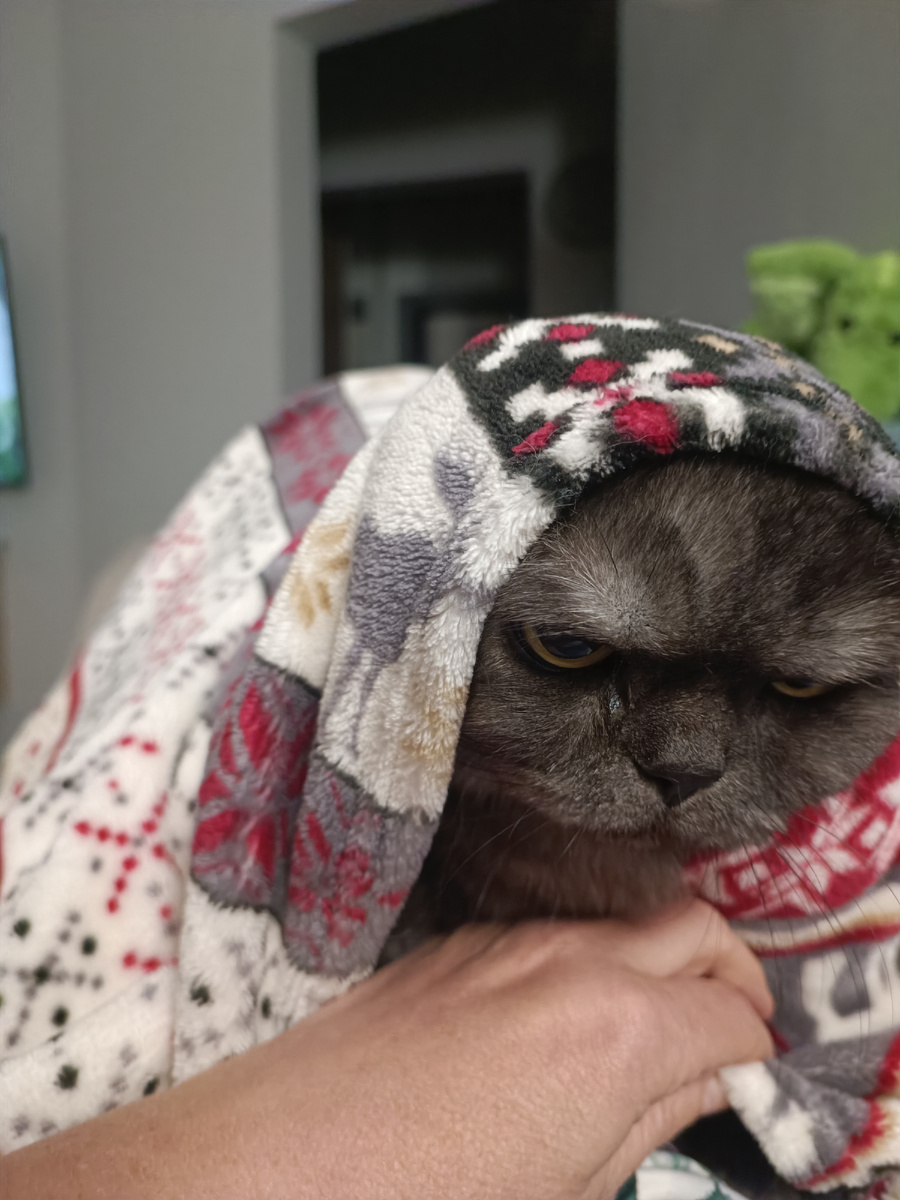 Вечно недовольный хариус имеет 🥴