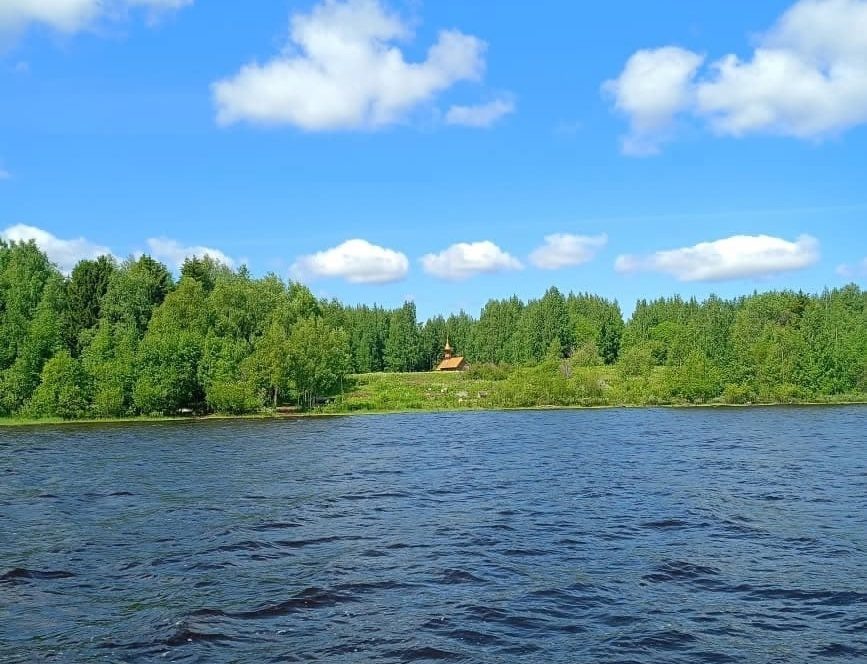    Фото: нацпарк «Водлозерский»