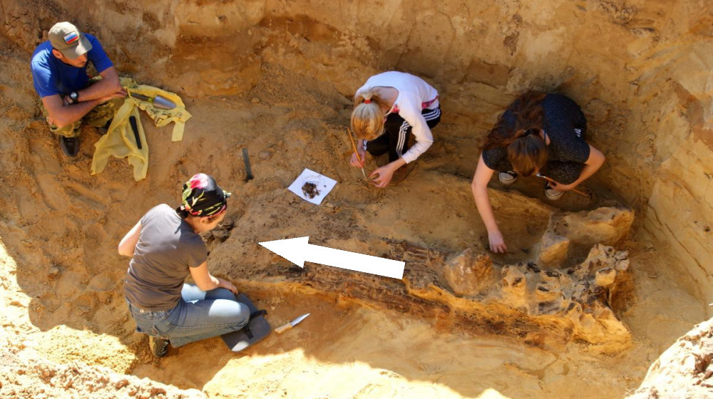    Тексты из Глозеля: подлинные артефакты или хитрая подделка