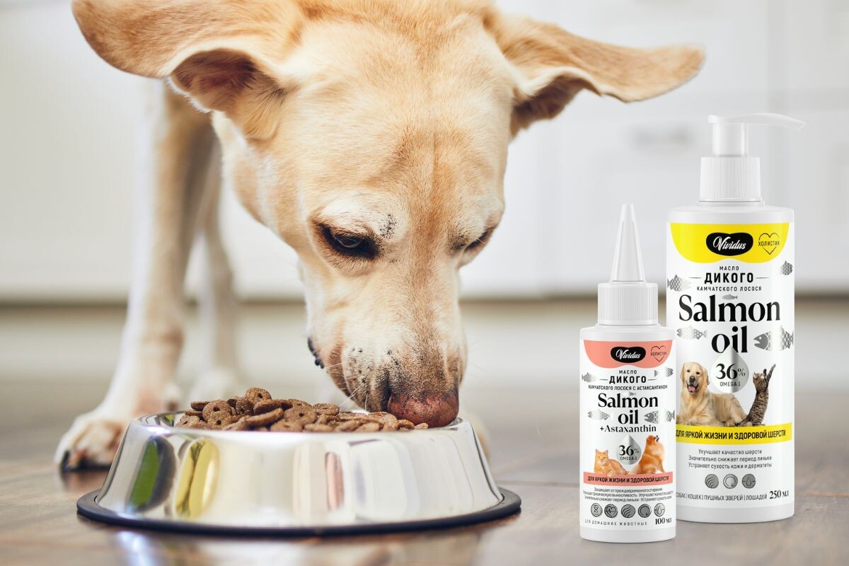 Лососевое масло Vividus для собак и кошек 