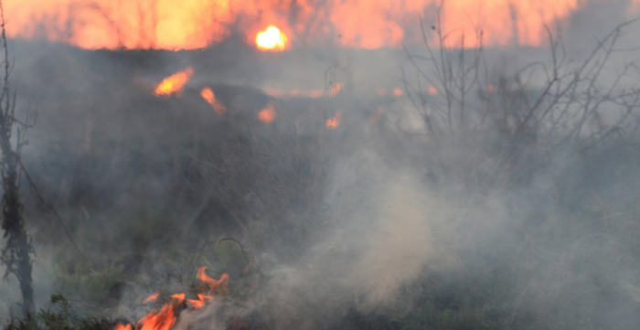 В старые времена лесной пожар не мог подобраться к посёлкам, поскольку их окружали многие квадратные километры возделанных полей / Фото: pxhere.com