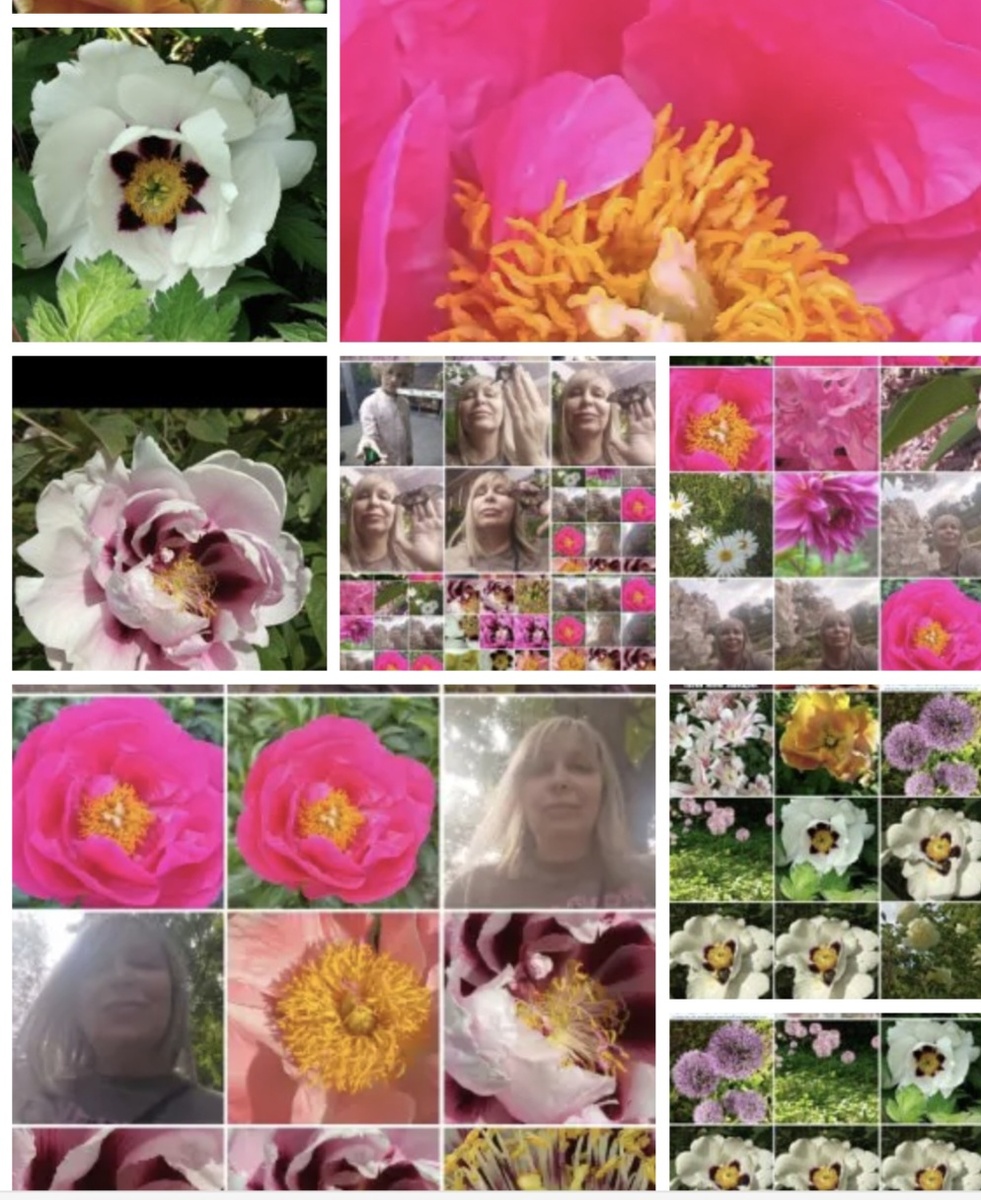 Фотоколлаж - собственность автора канала "ТАК НАДО".