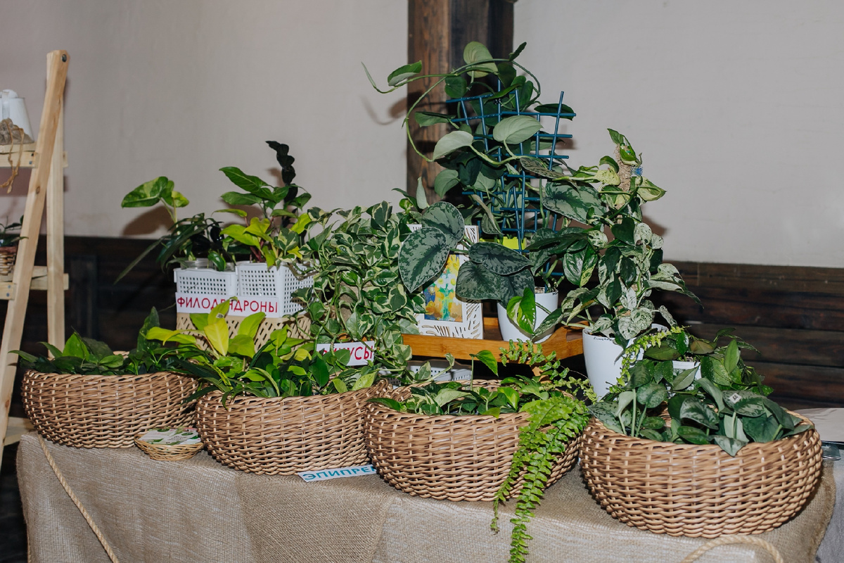 Мой стенд на маркете