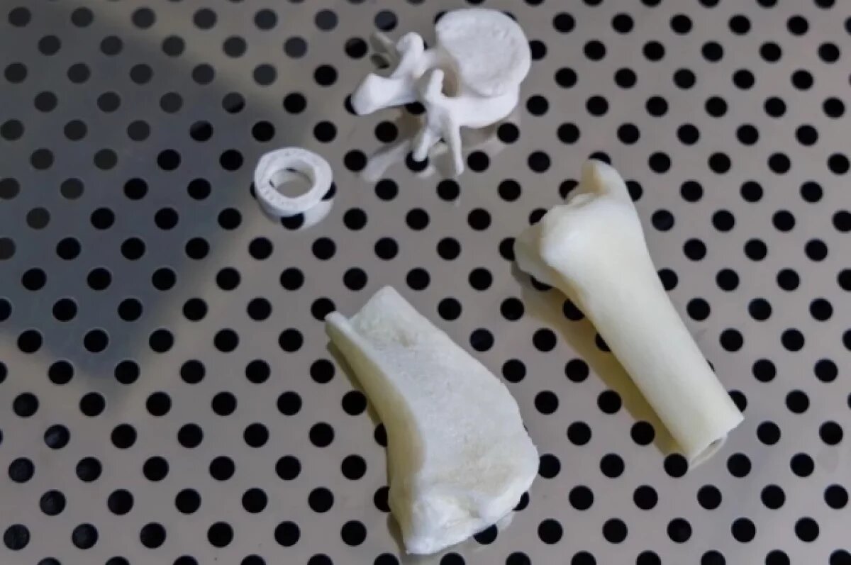    Учёные из СФУ первыми разработали костные имплантаты на основе бактерий