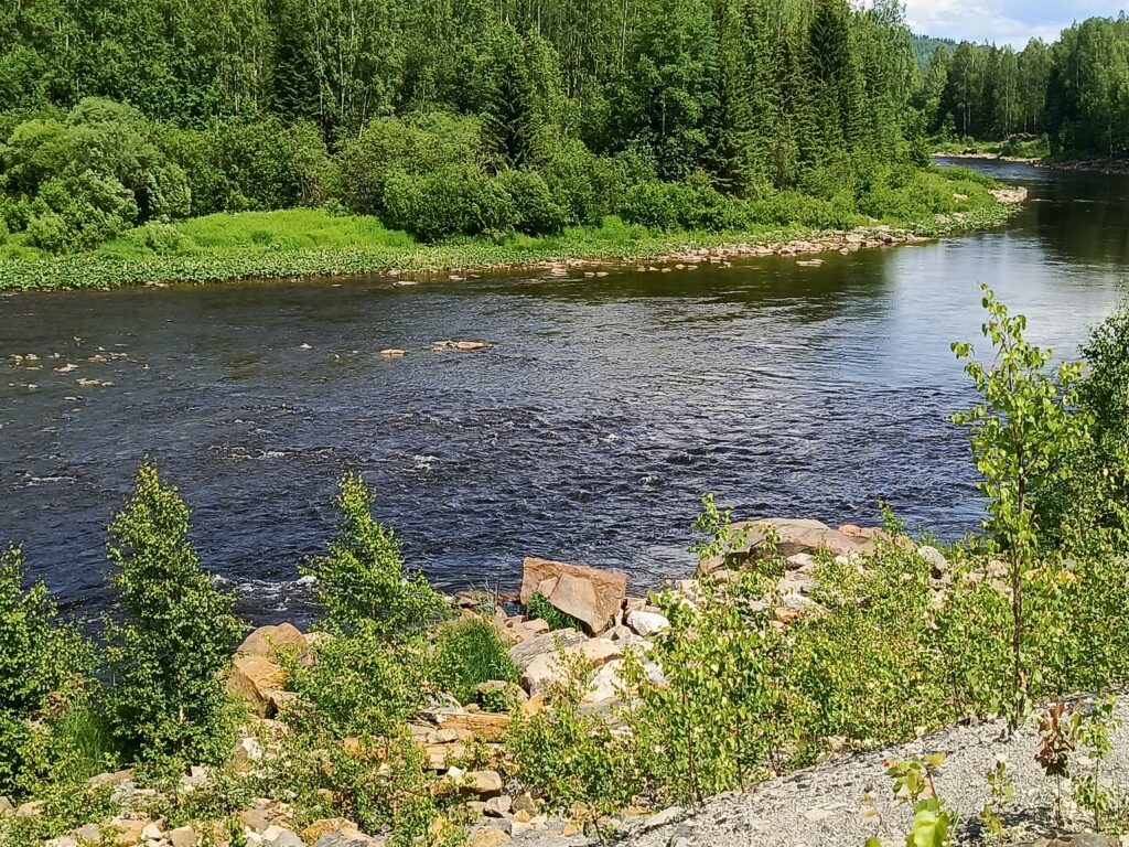    Фото: Ульяна Бажанова Ульяна Бажанова