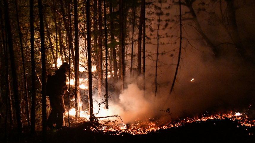    Фото: © РИА Новости/Евгений Епанчинцев; 5-tv.ru