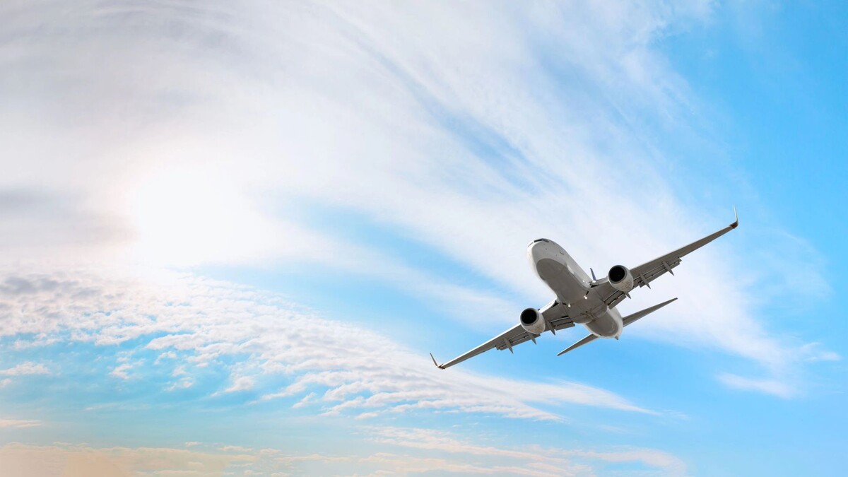    Фото: muratart/Shutterstock/Fotodom