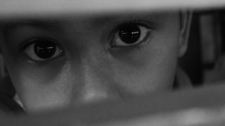    pixabay.com Екатерина Шахнина