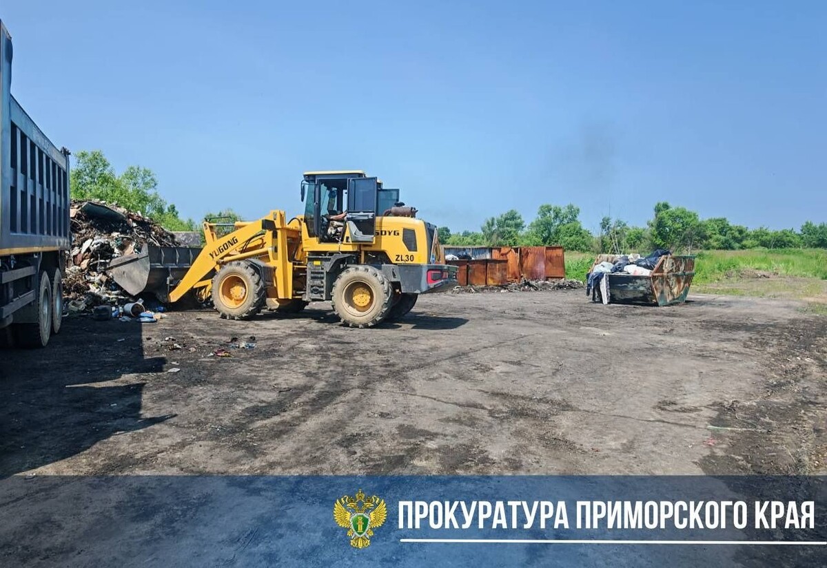     Источник: prosecutor_pk