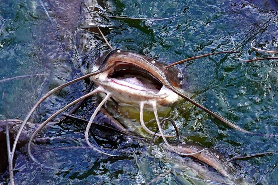     / Источник: © ABACA/ТАСС