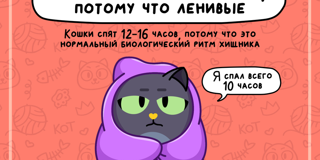 Всё, что ты знал о кошках — миф?!