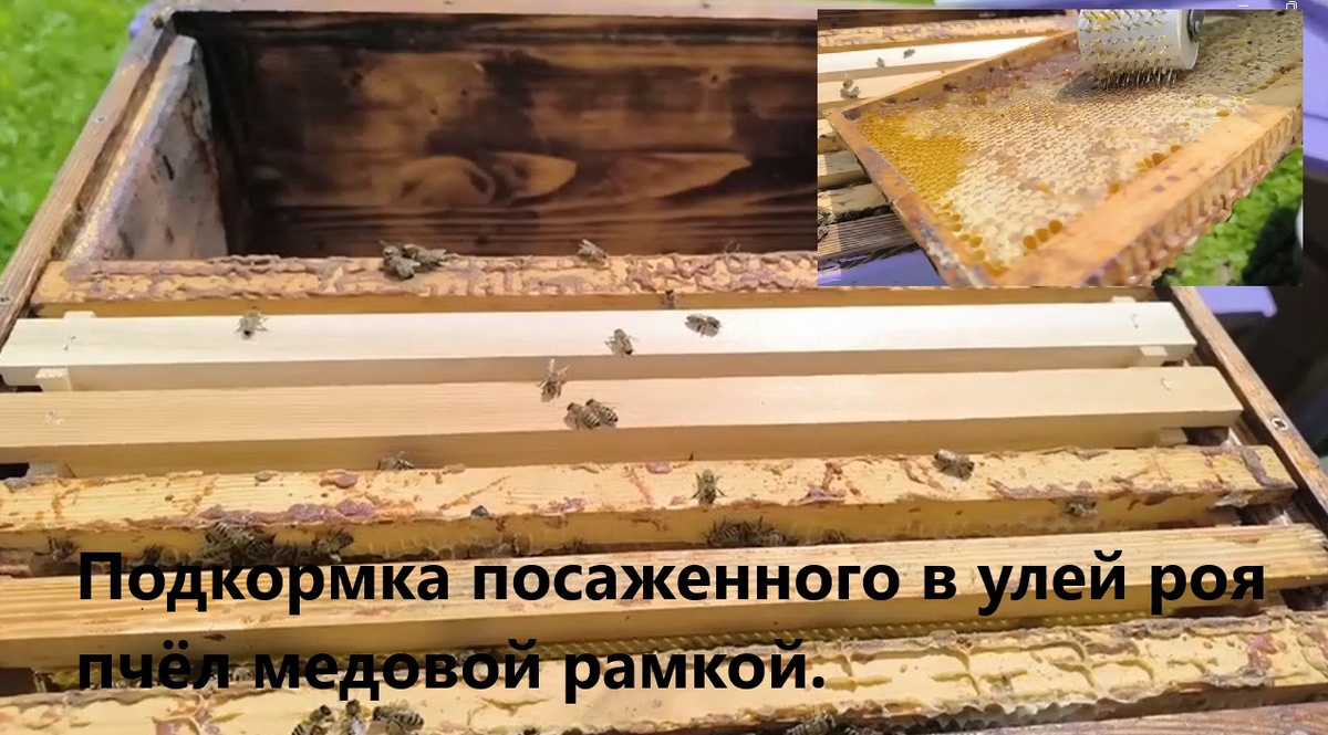 Друзья! Сегодняшний ролик вышел на Рутубе https://rutube.ru/video/f9a3e15690b1d5b284ca8cf5e83b359f/ 