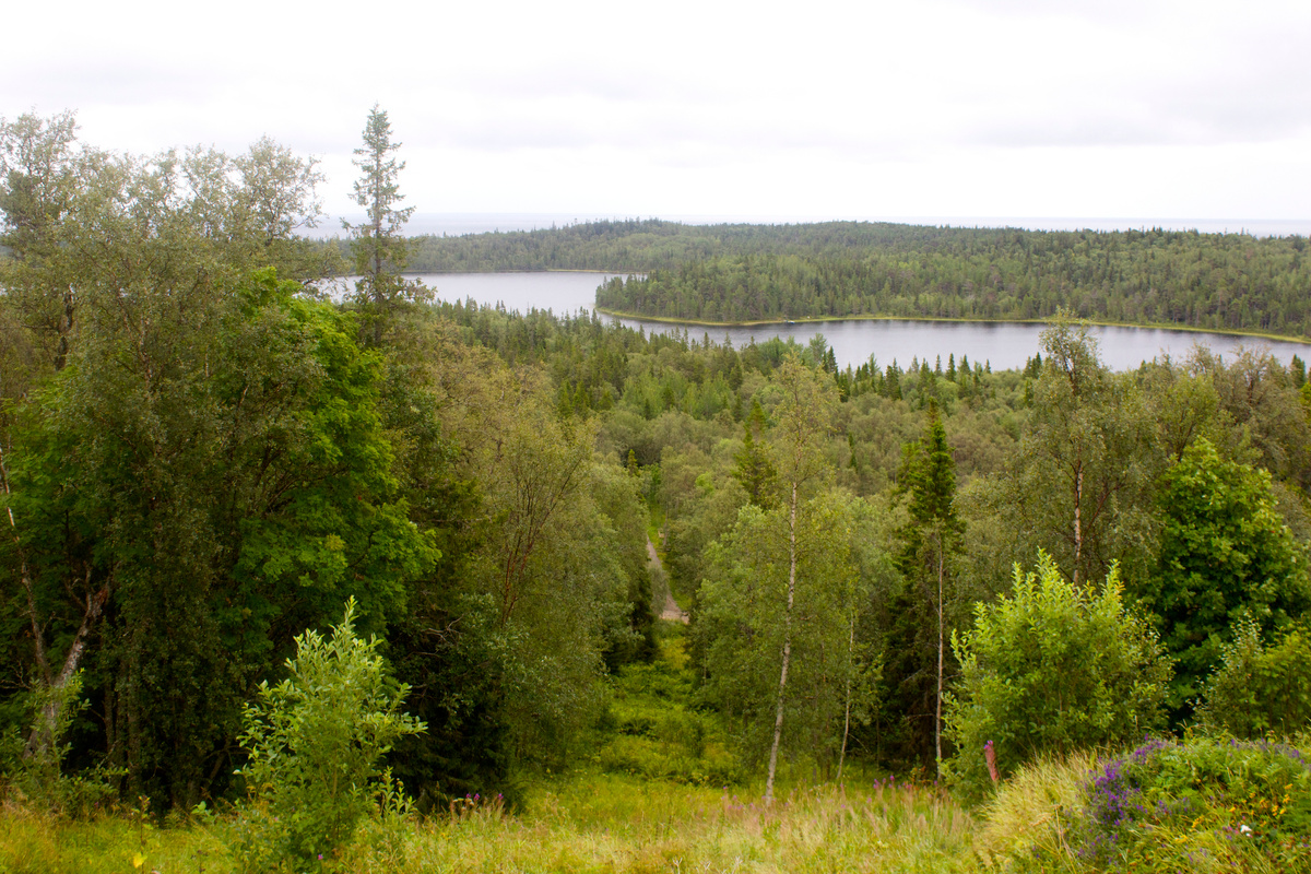о. Азер. Фото автора. 